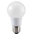 LED bulb A60